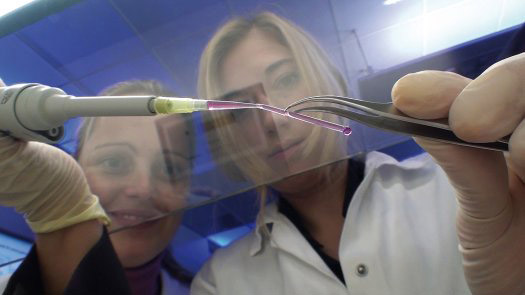 德国科学家利用3D立体打印技术成功研制人造血管