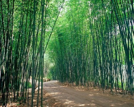 重渡沟