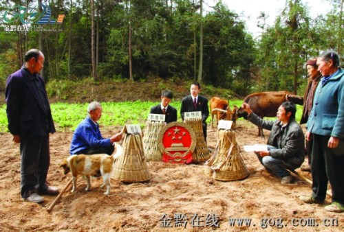 法官背国徽走山路到田间地头开庭