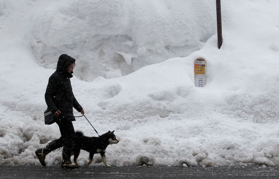 极寒天气袭击欧洲和东亚 日本暴雪56人丧生、英国或比南极冷