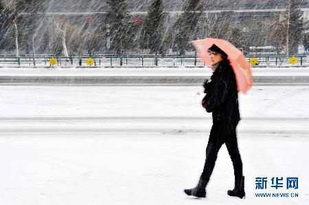 我国部分地区迎来大风雨雪天气