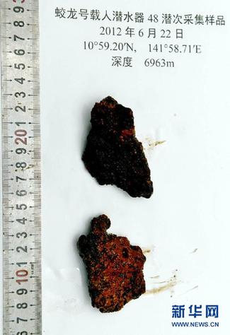 “蛟龙”探深海 7000米海试发现11种新物种