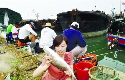 青岛神秘人花50万放生美国红鱼 引来百人垂钓