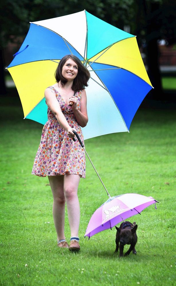 狗狗专用宠物伞在英国上市 雨天遛狗更舒心