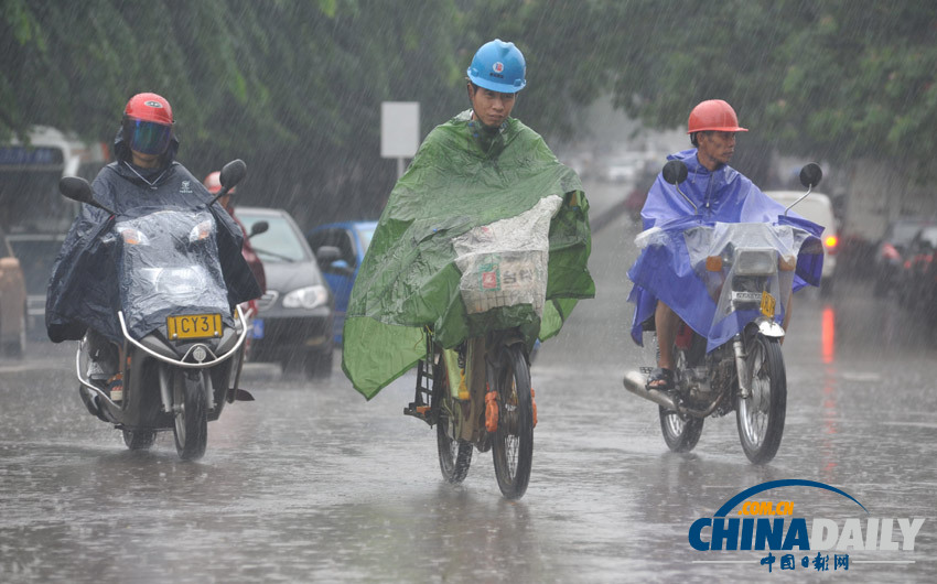 台风“启德”影响海南 局地暴雨