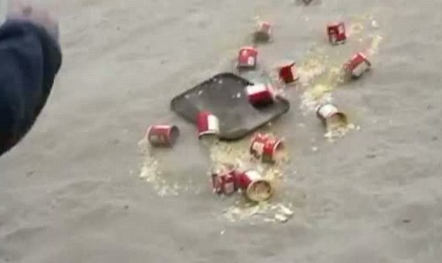 美国少年海滩恶搞喂海鸥泻药 鸟粪雨从天而降游客惨遭袭