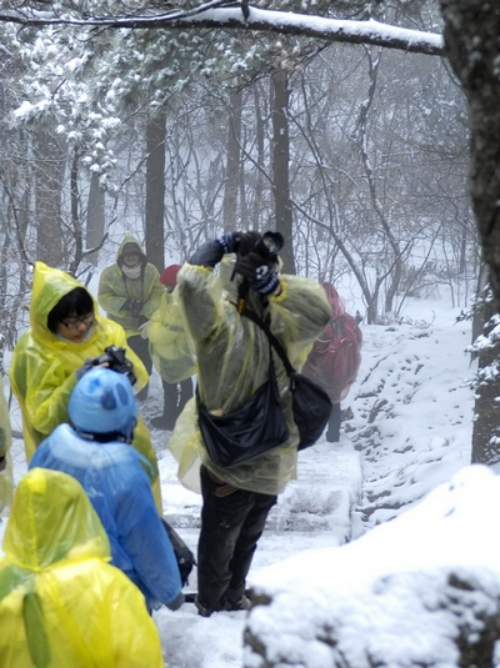 安徽黄山风景区迎降入冬首场盛雪 惊羡拍雪客