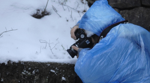 安徽黄山风景区迎降入冬首场盛雪 惊羡拍雪客