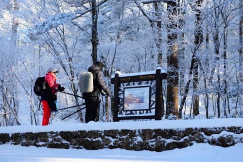 黄山风景区开展主题酬宾周活动 本地市民免费游