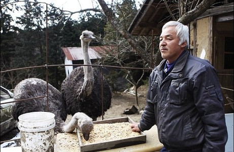 日本农民为照顾动物坚守核辐射区 生命堪危 