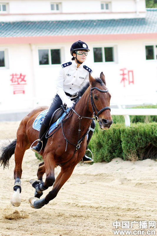 每匹马养护成本2500元/月?探秘大连女骑警训练基地