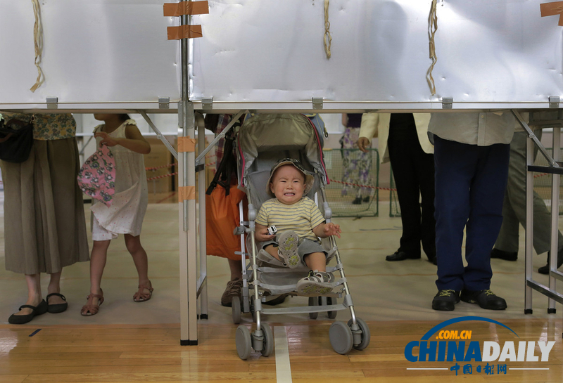 日参议院选举开始投票 女子抱狗参加（高清组图） 