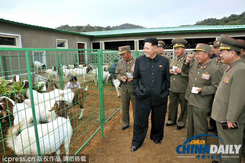 金正恩视察朝鲜人民军家畜育种场和日用品厂（图）