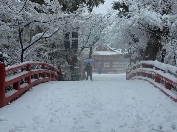 安倍不顾日本雪灾与支持者聚餐 引民主党高层猛批