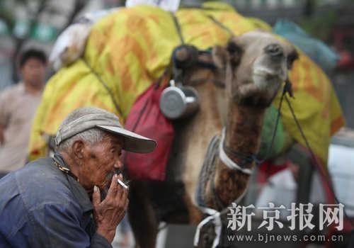 85-yr-old man begs in Beijing with his camel