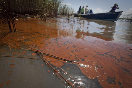 Louisiana marshes hit by Gulf oil slick