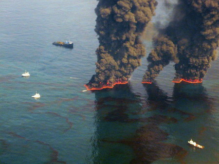 Louisiana marshes hit by Gulf oil slick