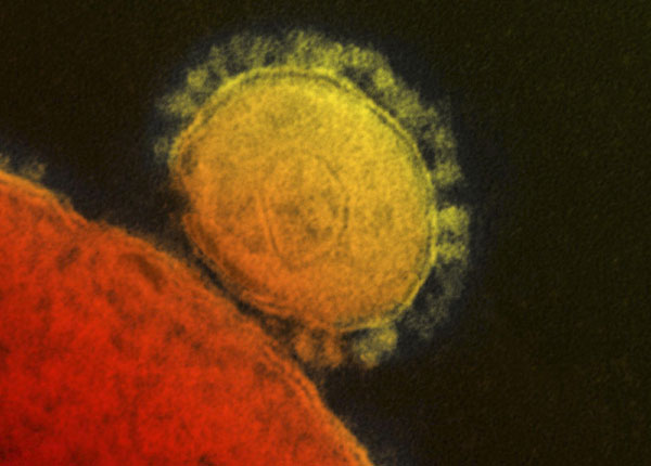 Death toll from Middle East virus rises