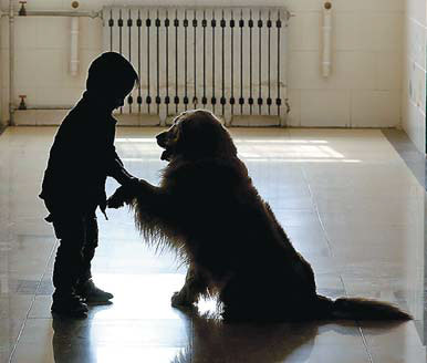 Therapy dogs ease plight of autistic children