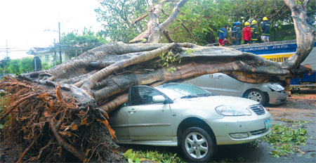 Typhoon kills 12, shuts down Manila