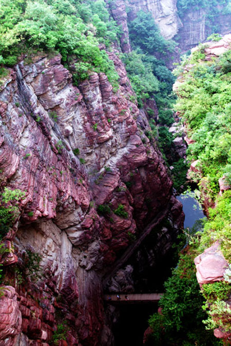 Tai Chi at home with nature