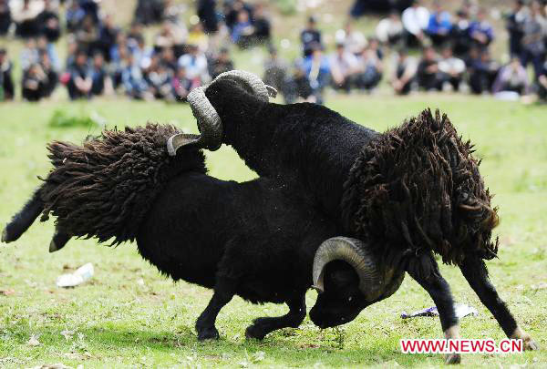 China's Yi ethnic group celebrates Torch Festival