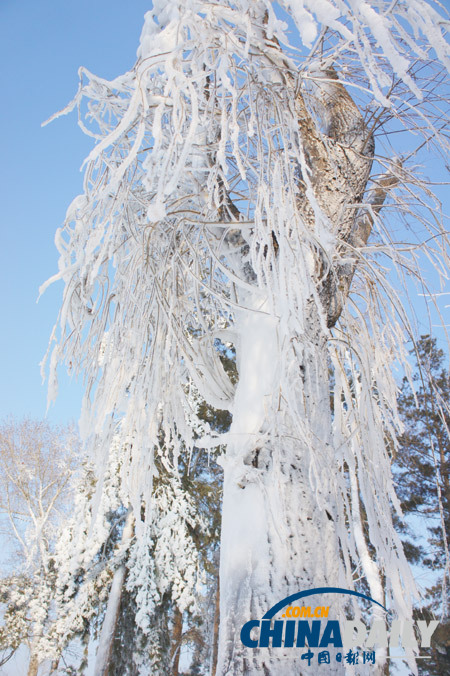 An ice and snow world