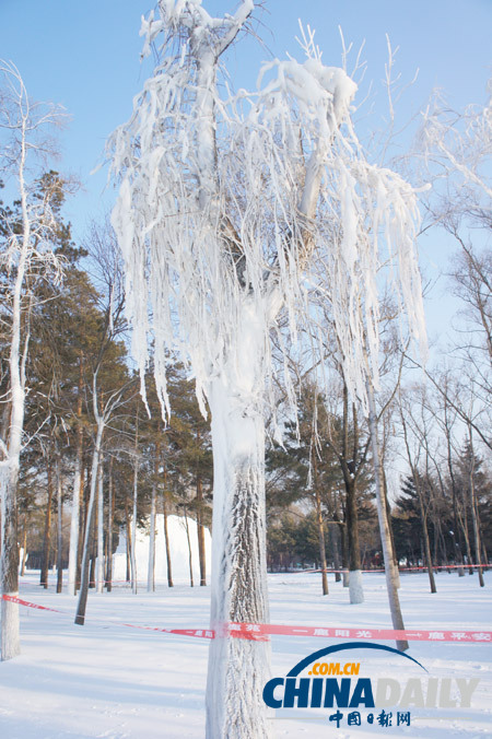 An ice and snow world