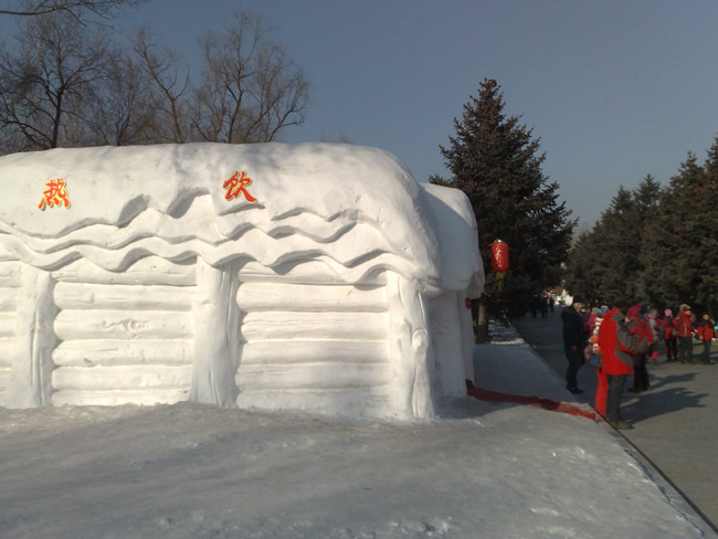 Sculpted in snow