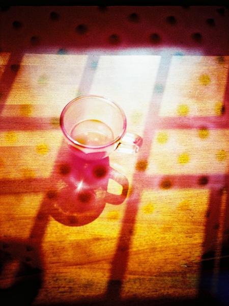 Fan Zhen's lomography