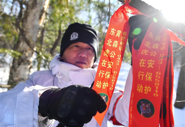 Skiing scouts protect wildlife in Changbai Mountains