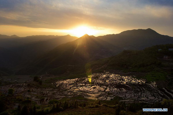 Beautiful terraced fields in Fujian