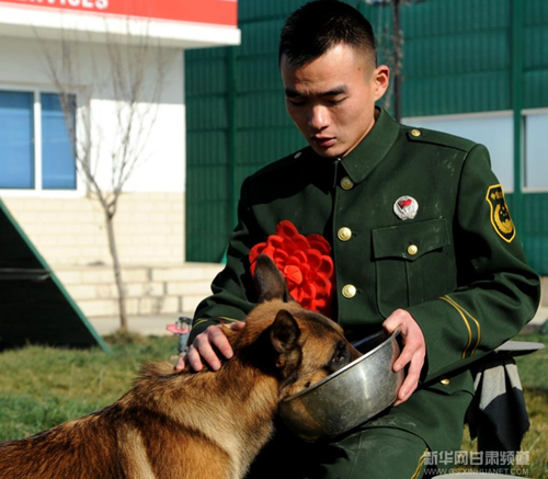 Touching scenes in Gansu when veterans leave the troops
