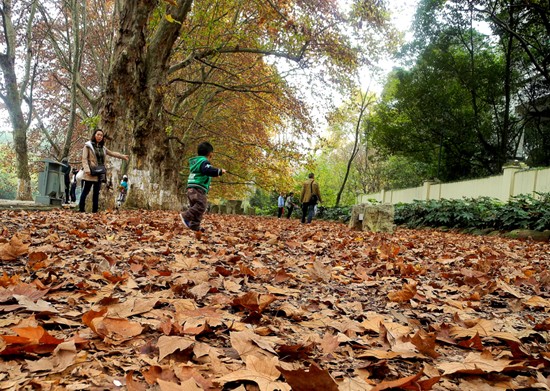 'Golden Avenue' in Guiyang