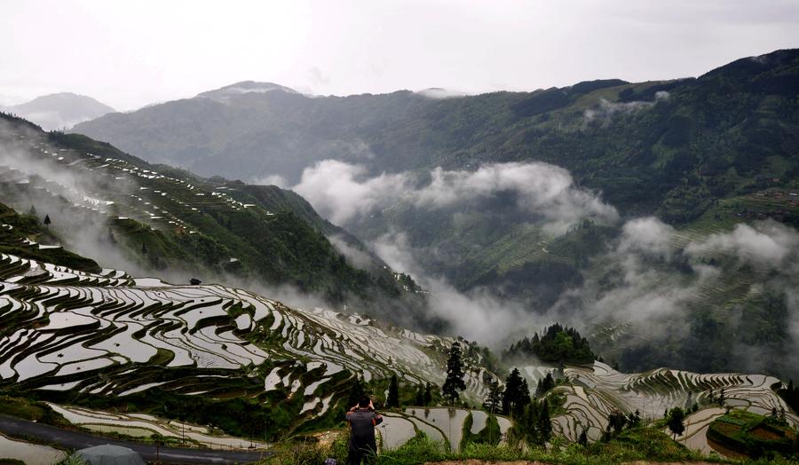 Terraces shrouded by morning fog in Southwest China