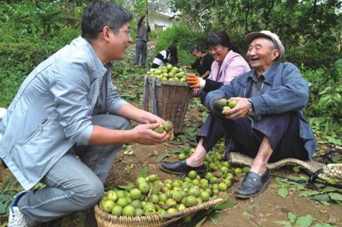 In Hezhang, small walnuts means big profits