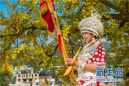 Gingko trees bring fortune to ancient village