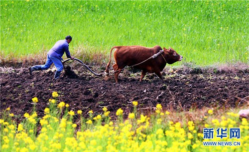 Sowing season arrives with spring