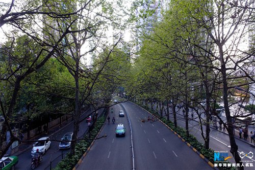 Guiyang, a green spring paradise