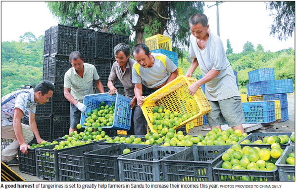 The lush grape helps yield progress for Sandu county's poor