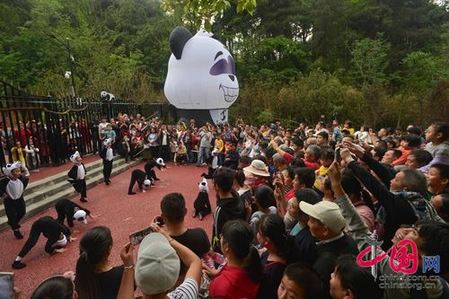 Giant pandas entertain Guiyang residents