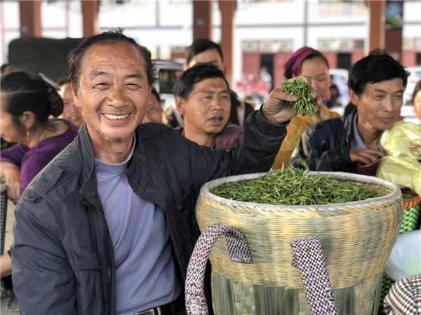 Villages in Guizhou find hope in tea industry