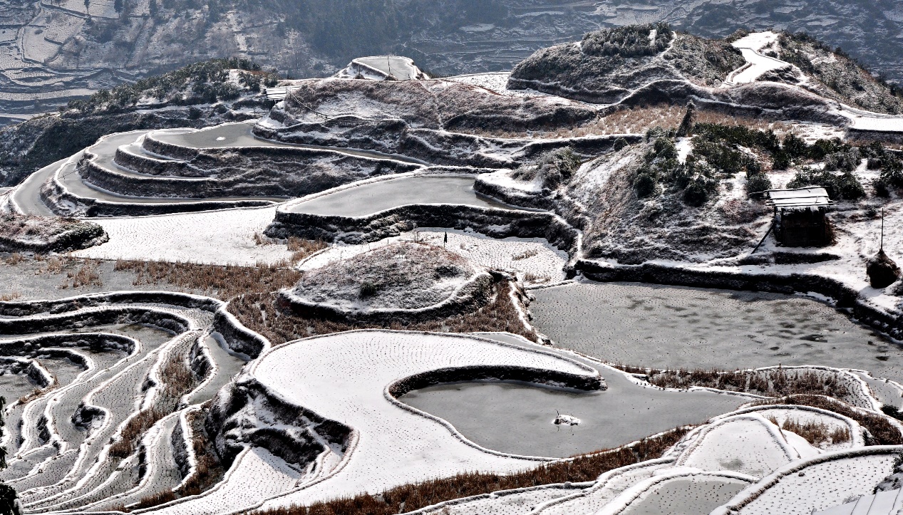 Freezing terraced fields in SW China's Guizhou