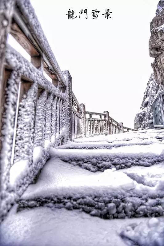 Snow makes Longmen Grottoes more beautiful