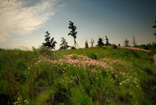 Vast of flowers and trees