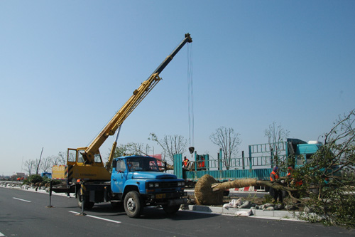 Tree-planting Day