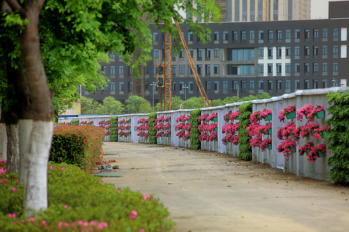 Picturesque Huaqiao in May