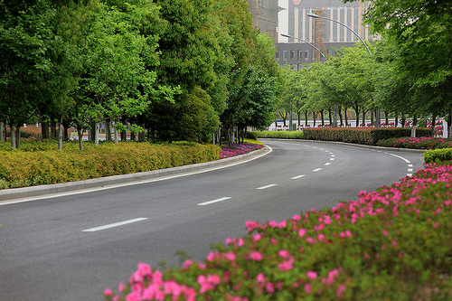 Picturesque Huaqiao in May