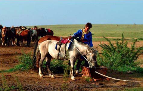 Xilamuren Grassland