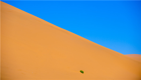 Autumn scenery of 2nd largest desert in China